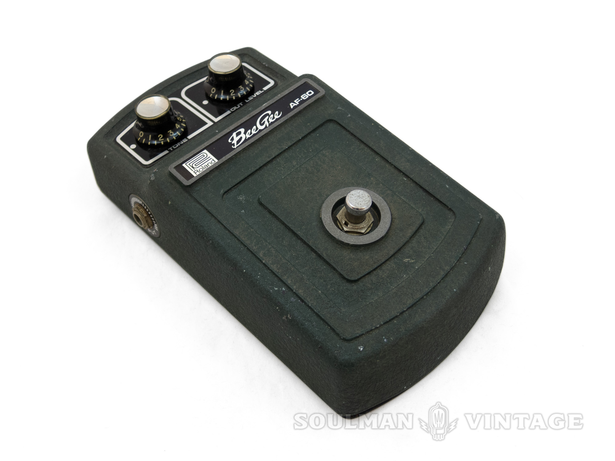 Roland AF-60 Bee Gee — Soulman Vintage